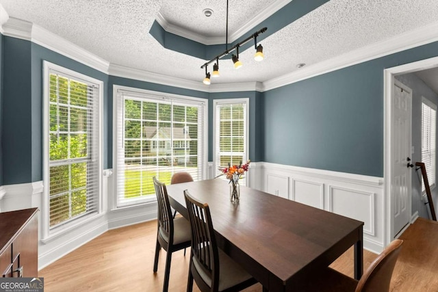 15 Miners Pt SE, Acworth, GA 30102 - dining area featuring a textured ceiling, a wainscoted wall, ornamental molding, light wood finished floors, and rail lighting