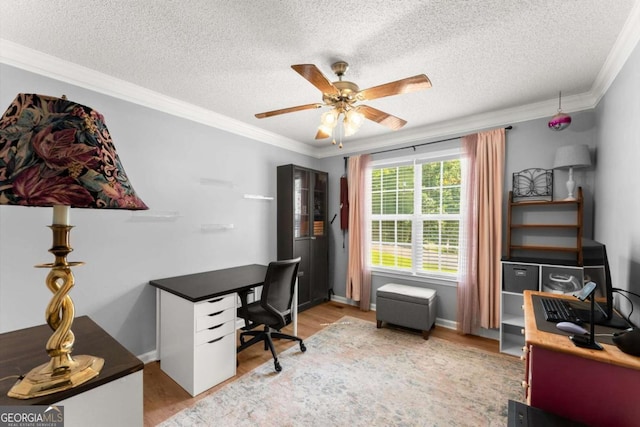 15 Miners Pt SE, Acworth, GA 30102 - home office with light wood-style flooring, a ceiling fan, ornamental molding, and a textured ceiling