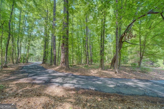 2400 White Pine Ln, Mansfield, GA 30055 - view of street featuring a view of trees