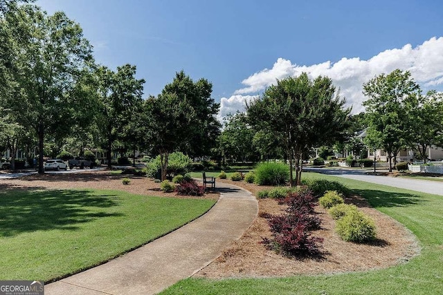 2052 Trimleston Rd, Statham, GA 30666 - view of home's community with a lawn