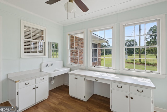788 Buie Cir, Pembroke, GA 31321 - unfurnished office featuring dark wood-style flooring, a ceiling fan, ornamental molding, and built in desk