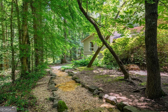 1690 Trotters Ln, Stone Mountain, GA 30087 - view of yard