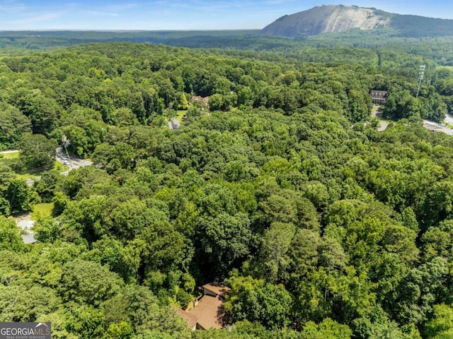 1690 Trotters Ln, Stone Mountain, GA 30087 - drone / aerial view of a heavily wooded area
