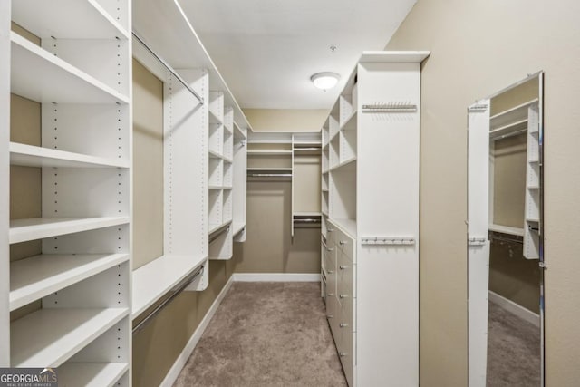 3777 Peachtree Rd NE Unit 1216, Atlanta, GA 30319 - walk in closet featuring carpet flooring