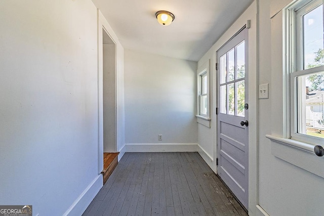 242 Hydrolia, Macon, GA 31217 - doorway to outside with dark wood-style floors and plenty of natural light
