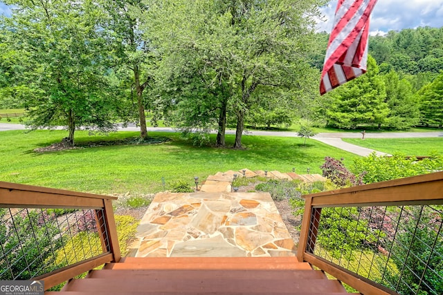 533 Ledford Rd, Dillard, GA 30537 - view of grassy yard