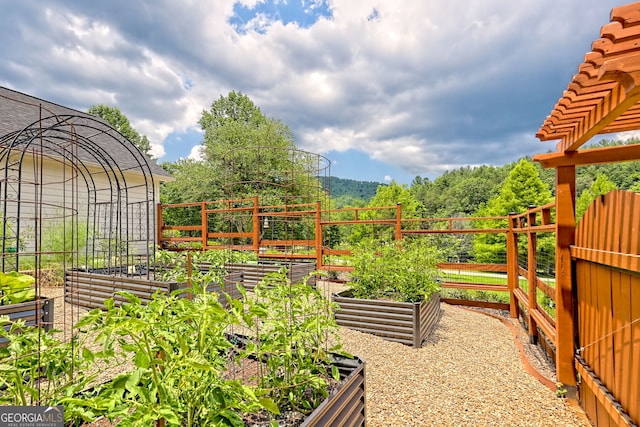 533 Ledford Rd, Dillard, GA 30537 - view of yard featuring a vegetable garden