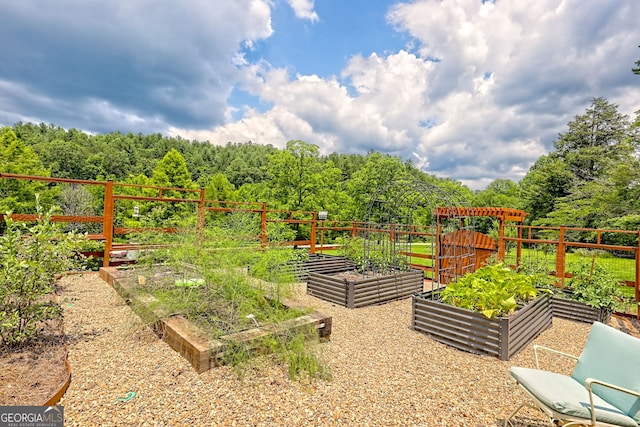 533 Ledford Rd, Dillard, GA 30537 - view of yard featuring a garden and a forest view