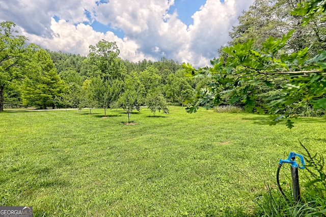 533 Ledford Rd, Dillard, GA 30537 - view of green lawn