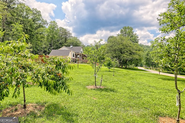 533 Ledford Rd, Dillard, GA 30537 - view of green lawn