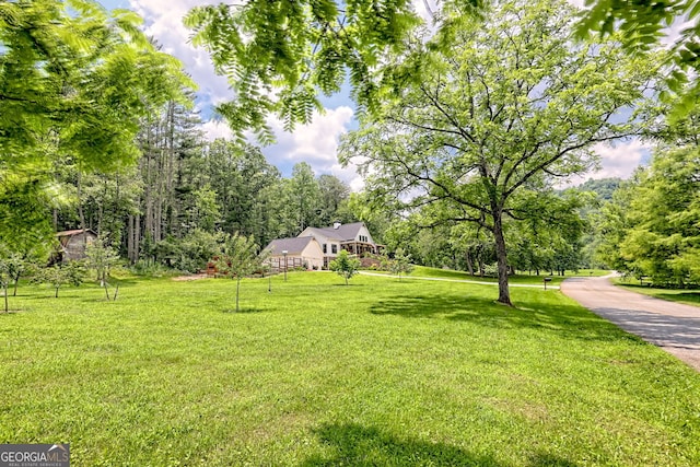 533 Ledford Rd, Dillard, GA 30537 - view of green lawn
