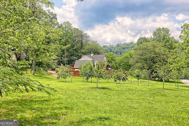 533 Ledford Rd, Dillard, GA 30537 - view of green lawn