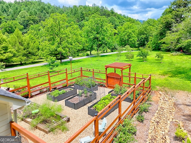533 Ledford Rd, Dillard, GA 30537 - view of yard with a vegetable garden and a view of trees