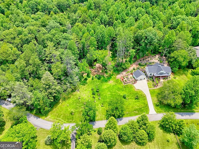 533 Ledford Rd, Dillard, GA 30537 - bird's eye view