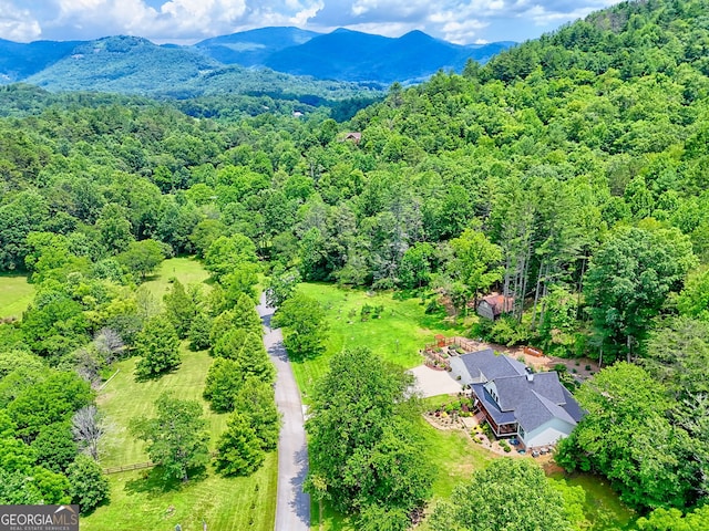 533 Ledford Rd, Dillard, GA 30537 - bird's eye view of a forest