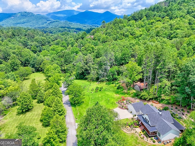 533 Ledford Rd, Dillard, GA 30537 - bird's eye view of a heavily wooded area