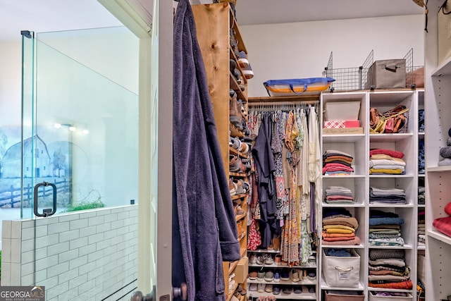 533 Ledford Rd, Dillard, GA 30537 - view of spacious closet