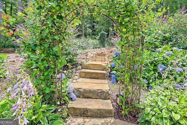 533 Ledford Rd, Dillard, GA 30537 - view of yard