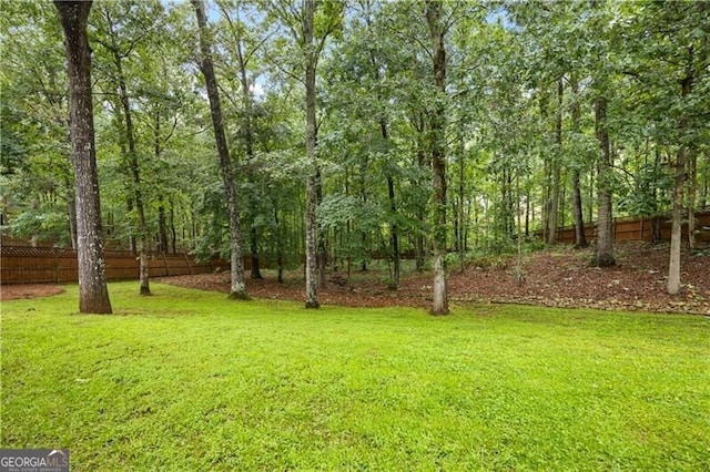 845 Darby Rd, Waleska, GA 30183 - view of yard