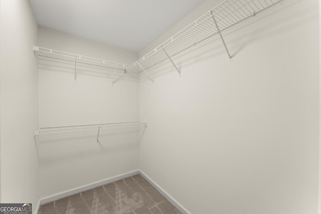 5455 Malone Ct, Powder Springs, GA 30127 - walk in closet with light colored carpet