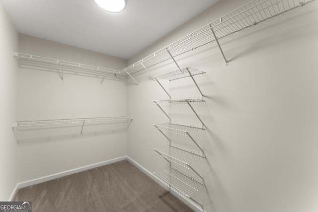 5455 Malone Ct, Powder Springs, GA 30127 - spacious closet with carpet