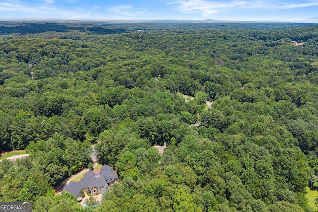 5455 Malone Ct, Powder Springs, GA 30127 - bird's eye view of a forest