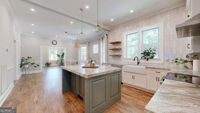 1437 18th St, Columbus, GA 31901 - kitchen with ornamental molding, range hood, gray cabinetry, backsplash, and white cabinetry