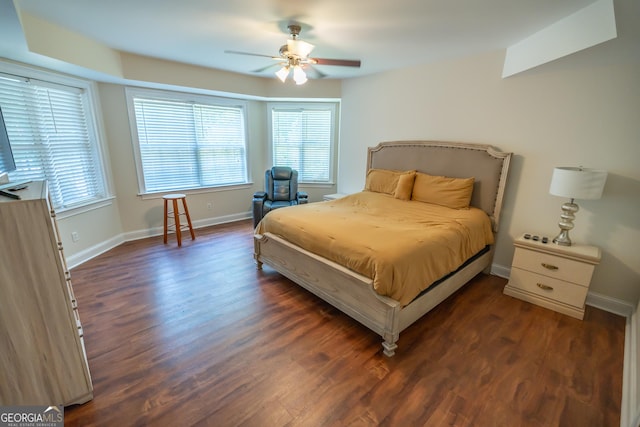 97 Windermere Cir, Newnan, GA 30265 - bedroom with multiple windows, dark wood-type flooring, and a ceiling fan