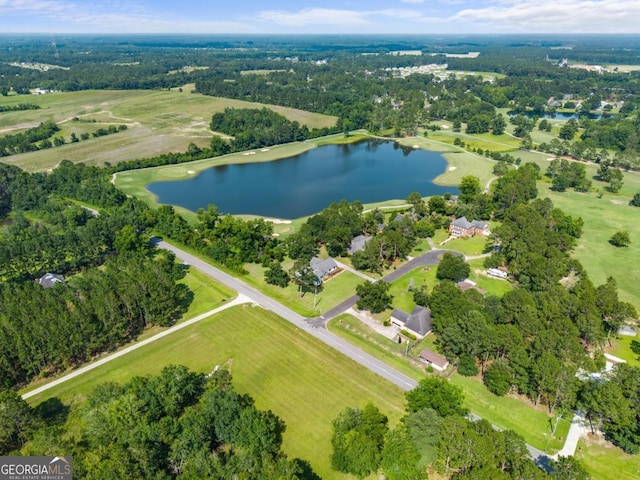 1501 Cayla Way, Statesboro, GA 30458 - aerial overview of property's location featuring a nearby body of water