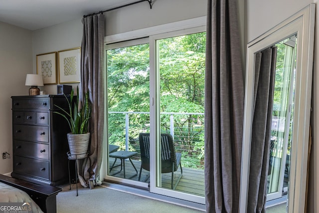 1192 Cleburne Ave NE, Atlanta, GA 30307 - entryway featuring healthy amount of natural light and carpet floors