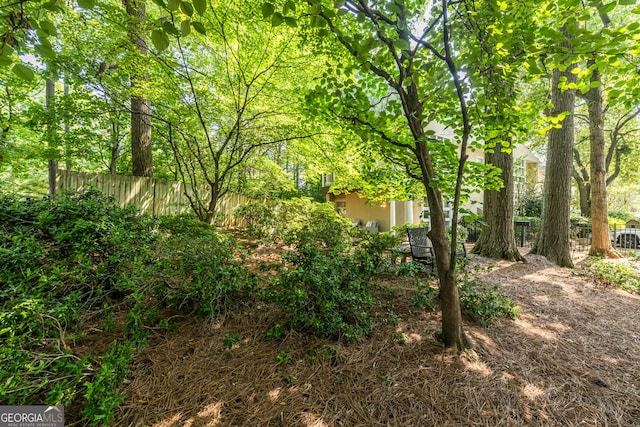 1192 Cleburne Ave NE, Atlanta, GA 30307 - view of yard