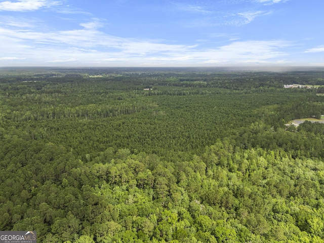 0 Rahn Station Rd, Rincon, GA 31326