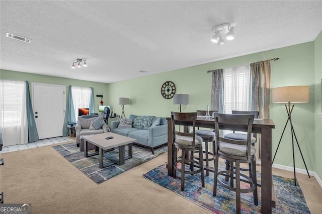 6178 Field Stone, Douglasville, GA 30134 - living room featuring carpet and a textured ceiling