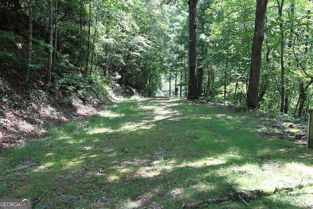 29 Cool Spring Ln, Clayton, GA 30525