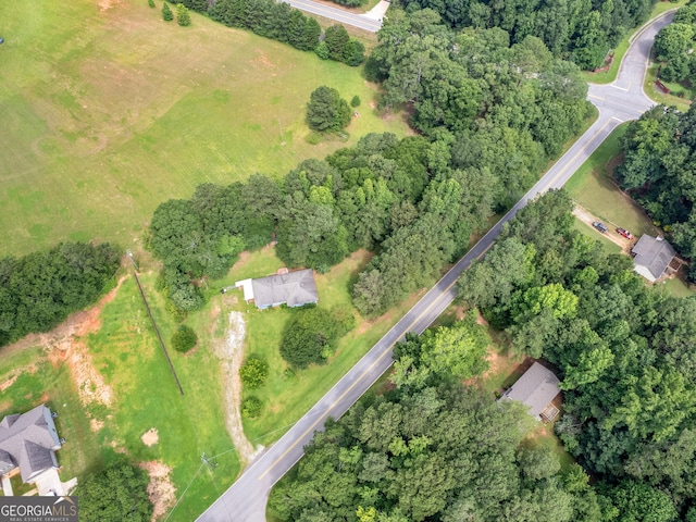 1041 Sandy Ridge Rd, Mcdonough, GA 30252 - view of property location