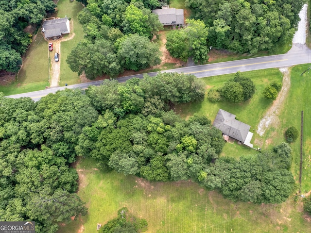 1041 Sandy Ridge Rd, Mcdonough, GA 30252 - view of property location