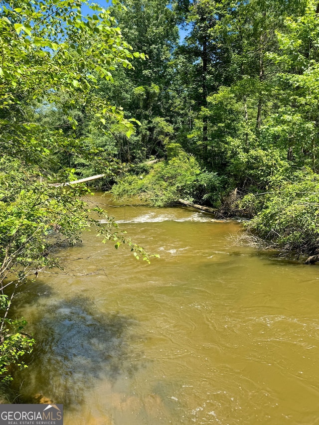 292 Selfridge Rd, Mcdonough, GA 30252 - water view