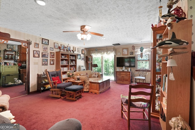 292 Selfridge Rd, Mcdonough, GA 30252 - carpeted living room featuring ceiling fan and a textured ceiling