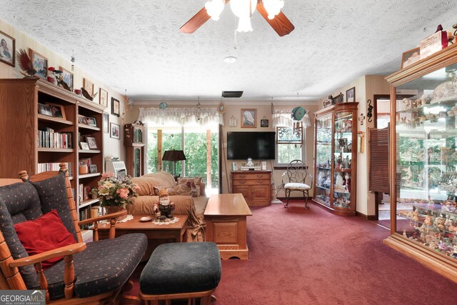292 Selfridge Rd, Mcdonough, GA 30252 - carpeted living room with a ceiling fan and a textured ceiling