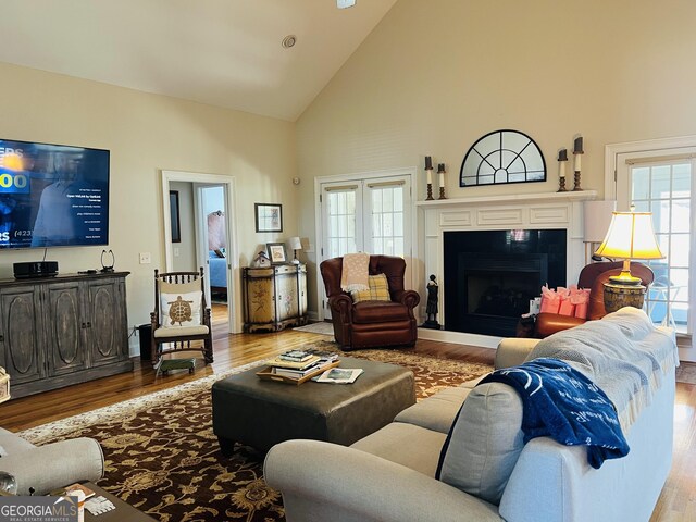327 Highland Pointe Dr, Cohutta, GA 30710 - living area with high vaulted ceiling, a fireplace with raised hearth, and wood finished floors