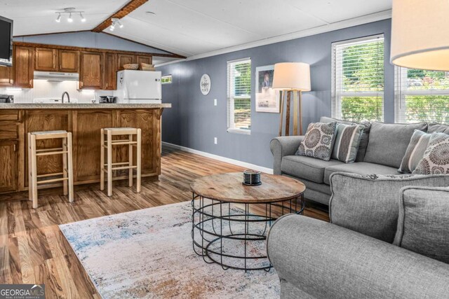 114 Poss Point Cv, Sparta, GA 31087 - living room featuring wood finished floors, plenty of natural light, rail lighting, and ornamental molding