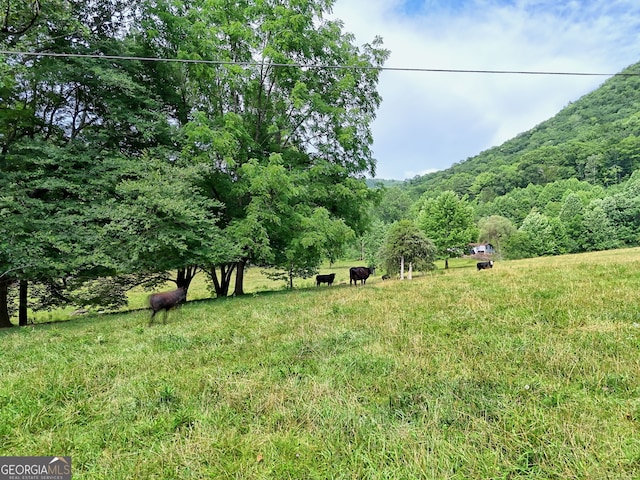 0 Ponderosa Rd, Rabun Gap, GA 30568
