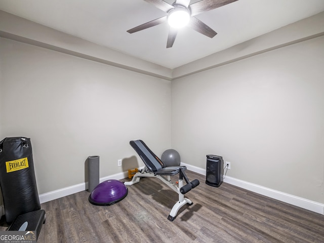 302 Thornhill Cir, Jefferson, GA 30549 - exercise room featuring wood finished floors and a ceiling fan