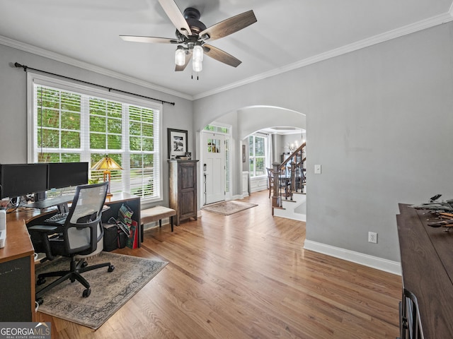 302 Thornhill Cir, Jefferson, GA 30549 - office area featuring arched walkways, plenty of natural light, ornamental molding, ceiling fan, and light wood-type flooring