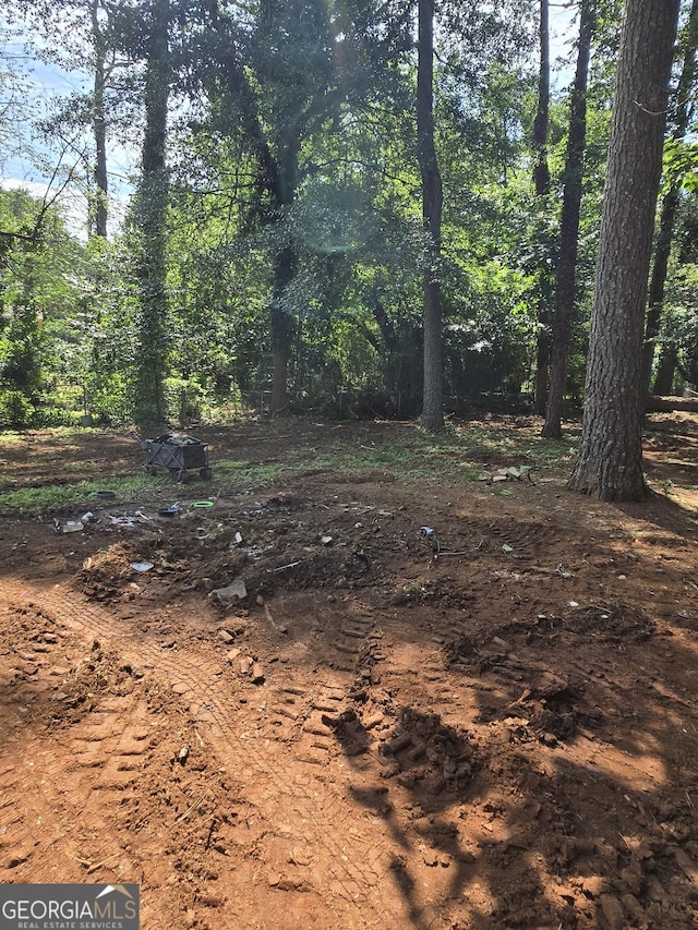 8778 Homewood Ct, Riverdale, GA 30274 - view of nature