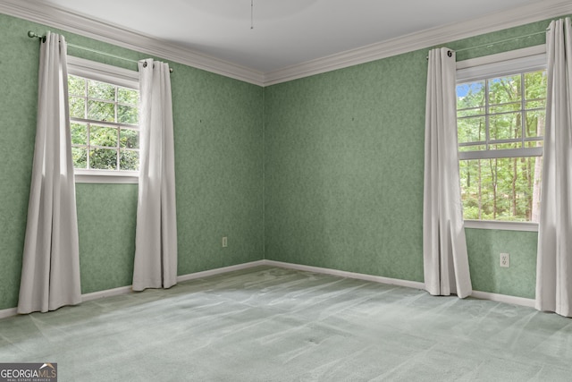 175 Cedar Creek Dr, Athens, GA 30605 - carpeted spare room featuring healthy amount of natural light and ornamental molding