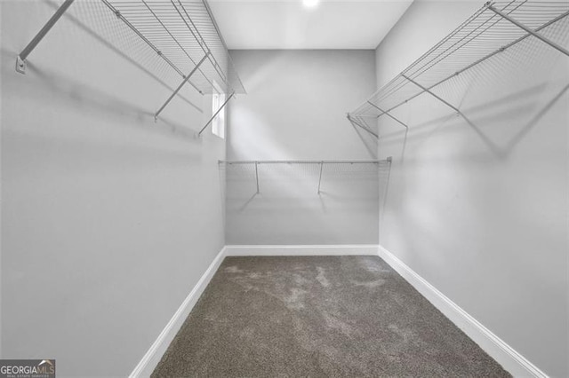5719 Calm Vly, Flowery Branch, GA 30542 - walk in closet featuring carpet