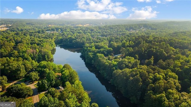 13520 Providence Lk, Alpharetta, GA 30004 - bird's eye view of a forest and a large body of water