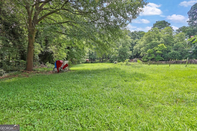 4636 Chamblee Tucker Rd, Tucker, GA 30084 - view of yard