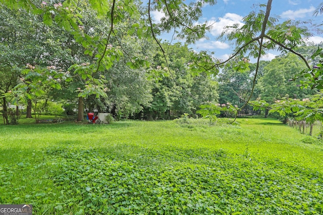 4636 Chamblee Tucker Rd, Tucker, GA 30084 - view of yard